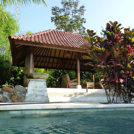 West Bali Villas-Umasari Resort Negara  Экстерьер фото
