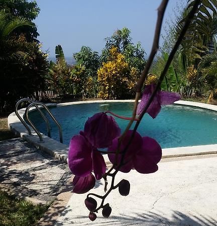 West Bali Villas-Umasari Resort Negara  Экстерьер фото