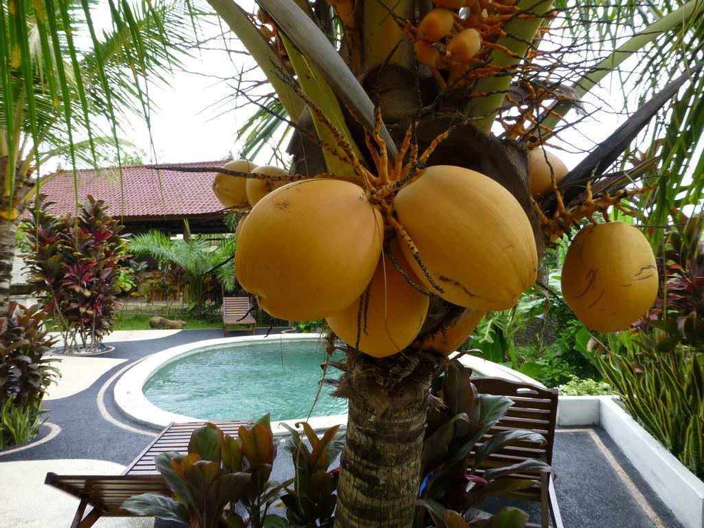 West Bali Villas-Umasari Resort Negara  Номер фото