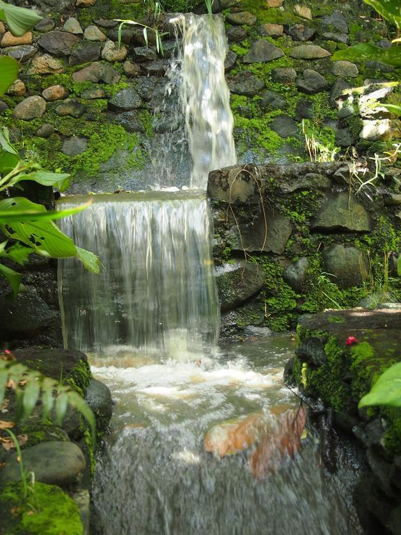 West Bali Villas-Umasari Resort Negara  Экстерьер фото
