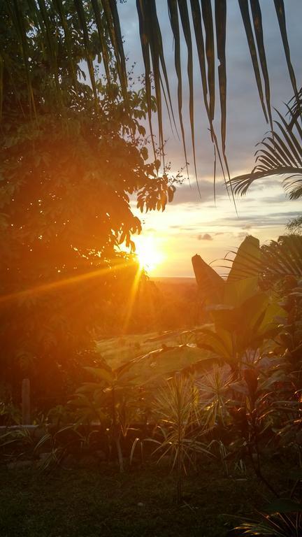 West Bali Villas-Umasari Resort Negara  Экстерьер фото