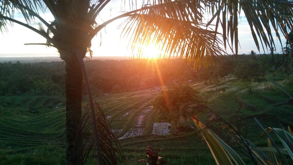 West Bali Villas-Umasari Resort Negara  Экстерьер фото