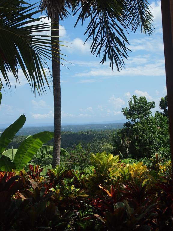 West Bali Villas-Umasari Resort Negara  Экстерьер фото