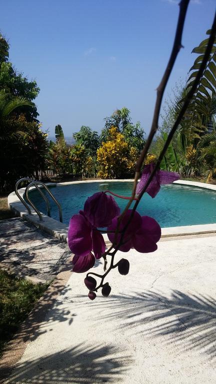 West Bali Villas-Umasari Resort Negara  Экстерьер фото